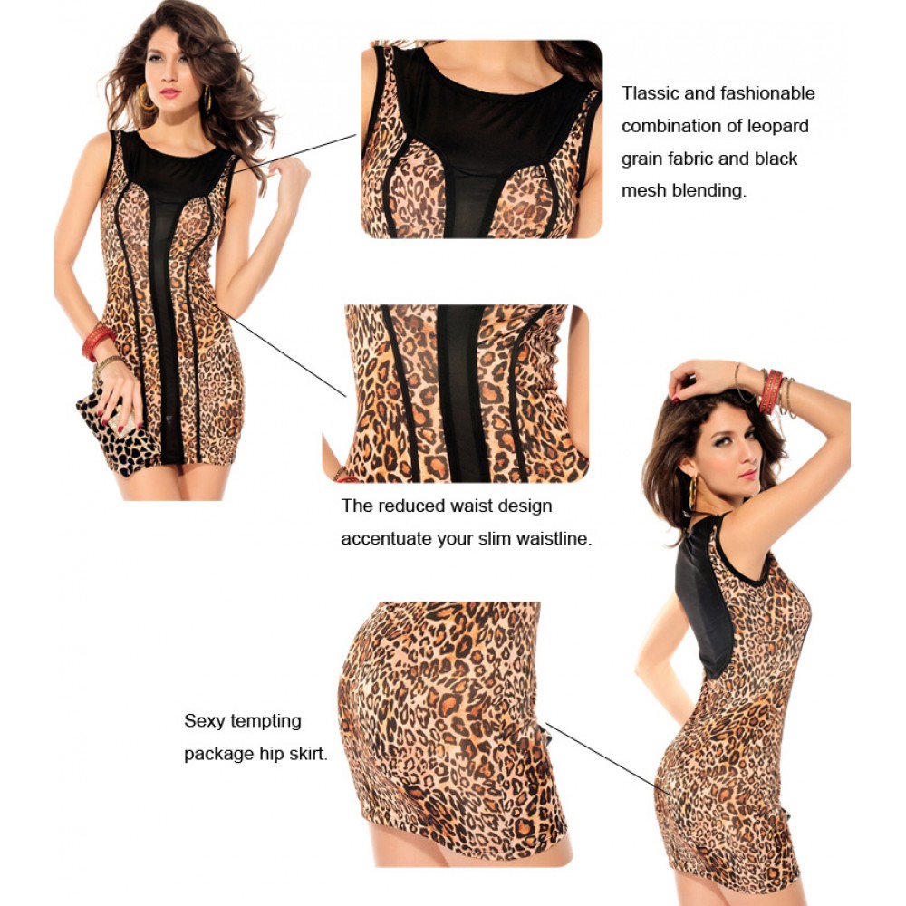 Leopard Mesh Accent Luxe Mini Dress