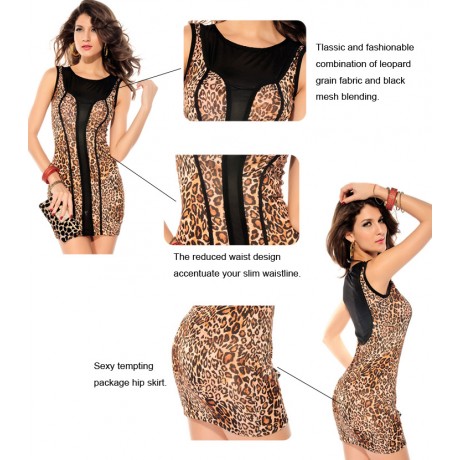 Leopard Mesh Accent Luxe Mini Dress