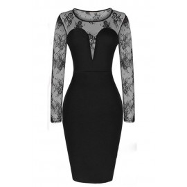 Celebrity Mesh Sleeve Bodycon Dress