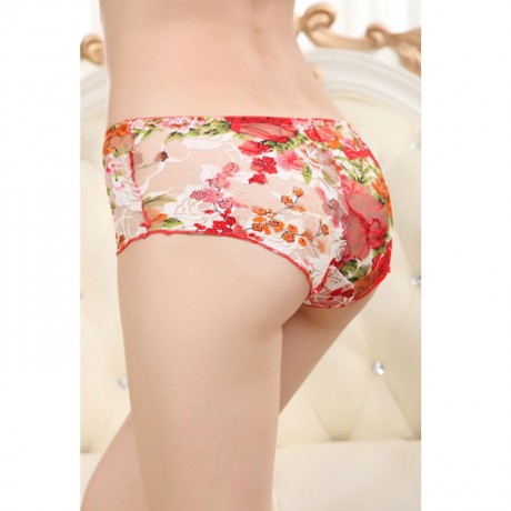 Red Rosa Lace Panty
